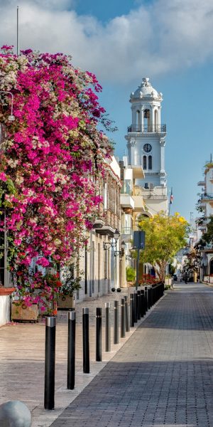 Types of real estate investment in Punta Cana