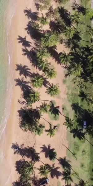 Las Terrenas, Samaná, República Dominicana