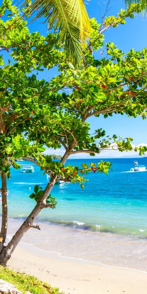 Las Terrenas
